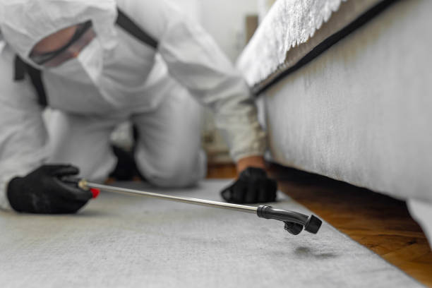 Professional Bed Bug Control technician working in Loch Lomond, VA
