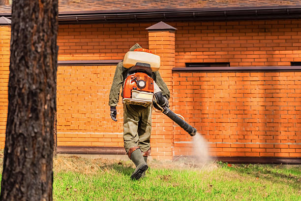 Trusted Termite Control service in Loch Lomond, VA - Nex Pest Control